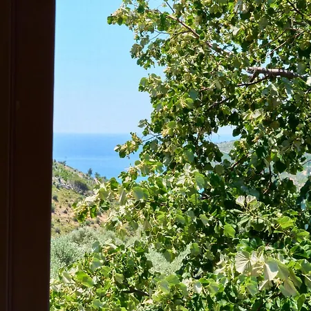 Guest house Billion Stars